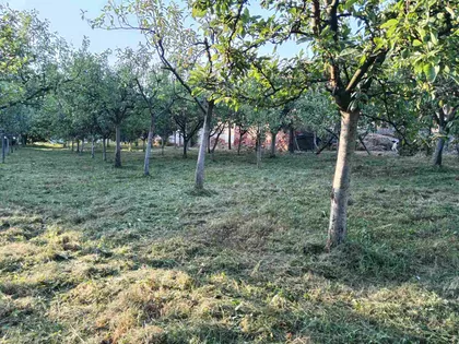 Stevana Mokranjca | 4zida.rs