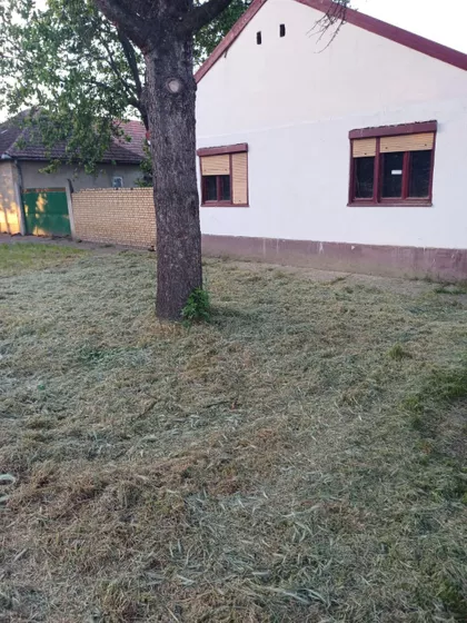Aleksa Šantić | 4zida.rs