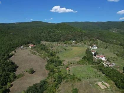 Peselja | 4zida.rs