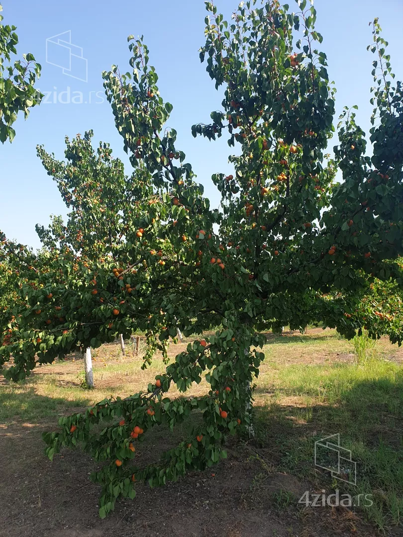 Poljoprivredno zemljište | 4zida