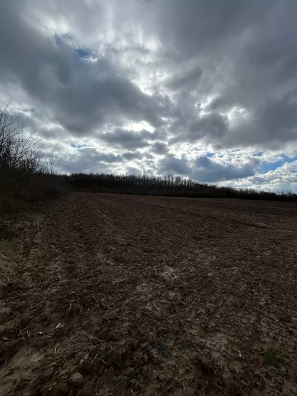 Kneza Lazara | 4zida.rs