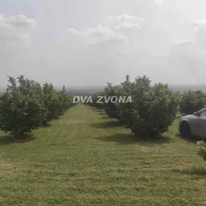 Stari Slankamen | 4zida.rs