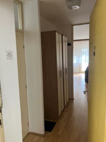 Blok 25 - Arena | 4zida.rs