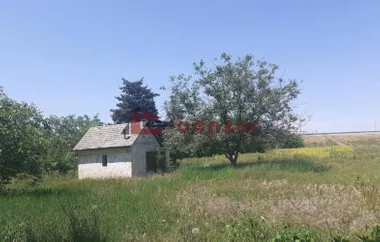 Hajdukovo