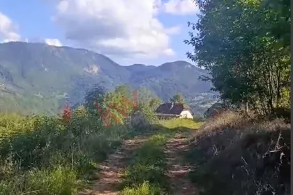 Planina Tara | 4zida.rs
