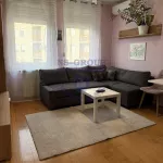 Socijalno, Rotkvarija, Gradske lokacije, Novi Sad | 4zida.rs | 4zida.rs