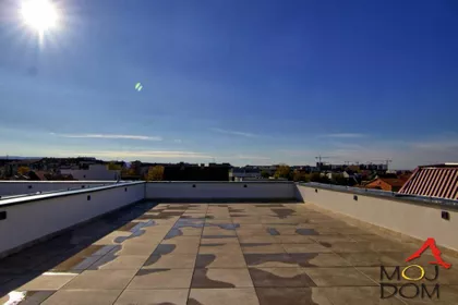 Severni Telep | 4zida.rs