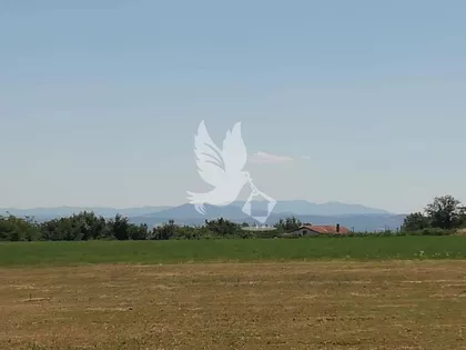 Koraćica | 4zida.rs