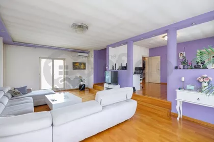 Zire Adamovića | 4zida.rs