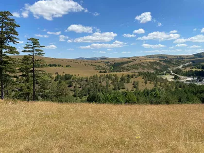 Kobilja Glava | 4zida.rs