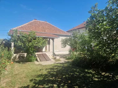 Veternik
