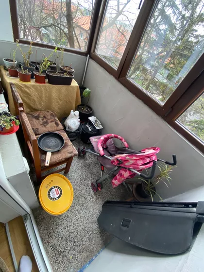 Knjaževačka Bb | 4zida.rs