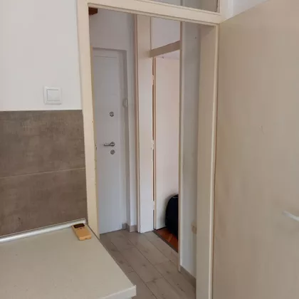 Vojvode Petra Bojovića 2 | 4zida.rs
