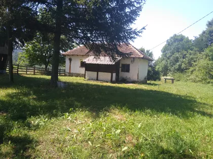 Cara Dušana 6 | 4zida.rs
