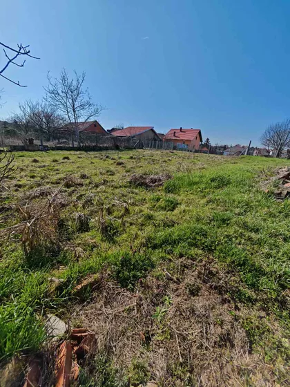 Jovana Popovića | 4zida.rs