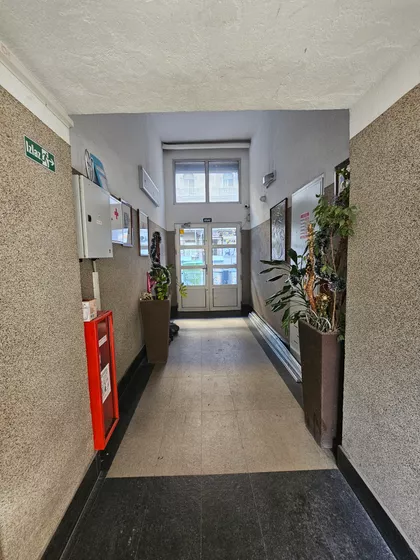 Svetozara Markovića | 4zida.rs