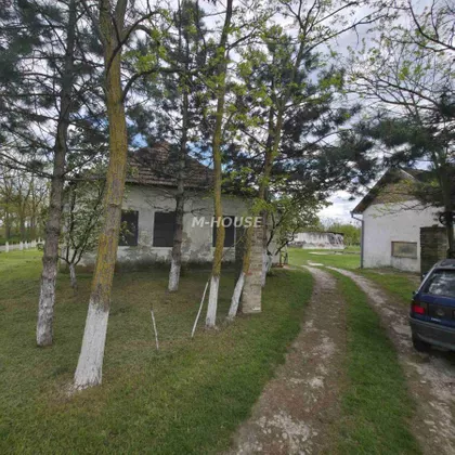 Stanišić | 4zida.rs