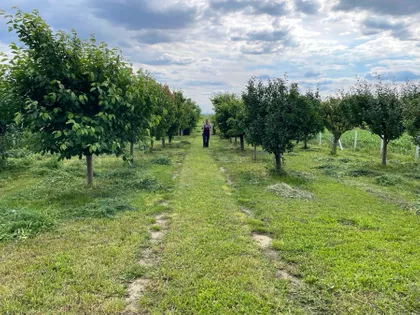 Surdučki Put | 4zida.rs