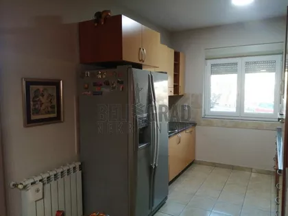 Dijane Budisavljević | 4zida.rs