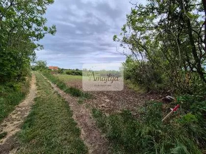 Novi Slankamen | 4zida.rs