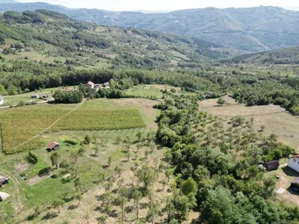 Peselja | 4zida.rs