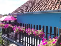 Telep, Gradske lokacije, Novi Sad | 4zida.rs | 4zida.rs