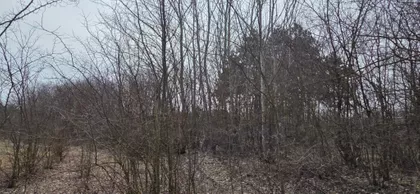 Srpski Šor | 4zida.rs