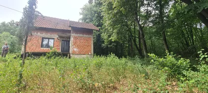 LJUBE TADICA | 4zida.rs