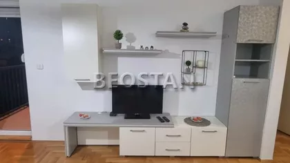 Mileve Maric Ajnstajn | 4zida.rs
