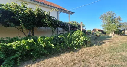 Svetozara Markovića | 4zida.rs