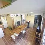 Kamenjar, Gradske lokacije, Novi Sad | 4zida.rs | 4zida.rs