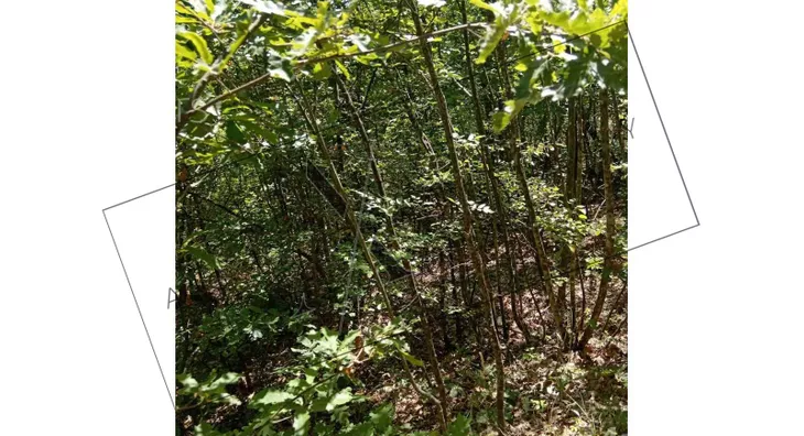 Poljoprivredno zemljište | 4zida