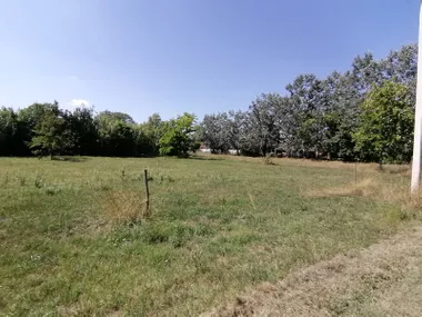Palić