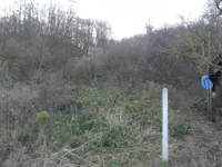 Novo Lanište, Okolne lokacije, Jagodina | 4zida.rs