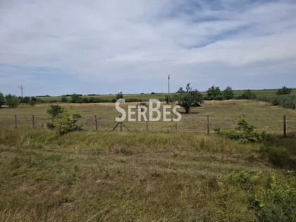 Čenej | 4zida.rs