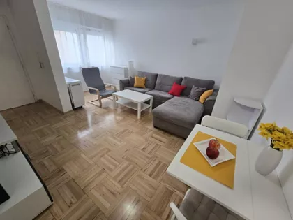 Kneginje Zorke | 4zida.rs