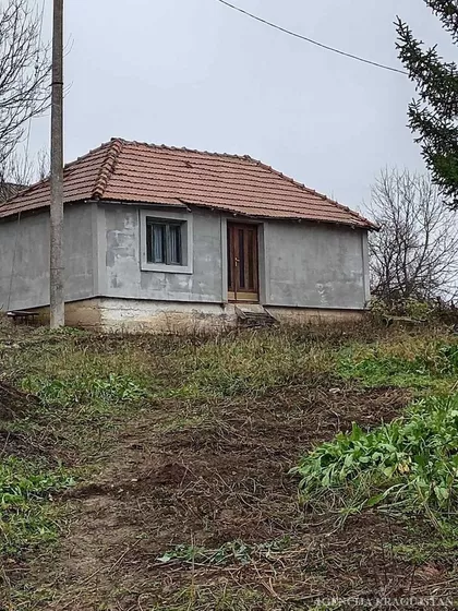 Badnjevac | 4zida.rs