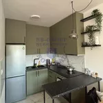 Avijatičarsko Naselje, Gradske lokacije, Novi Sad | 4zida.rs | 4zida.rs