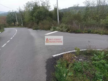 Popović