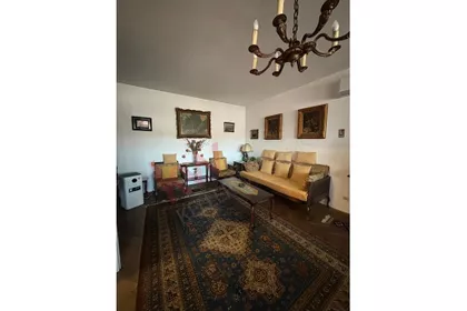 Bulevar Arsenija Čarnojevića | 4zida.rs