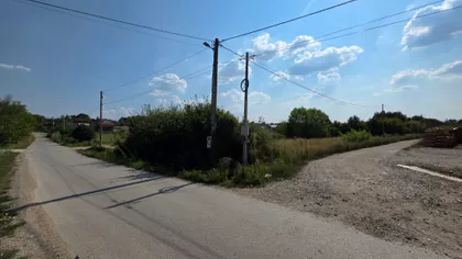 Petnica | 4zida.rs