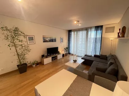 Hercegovačka | 4zida.rs