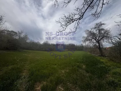 Krušedol Prnjavor | 4zida.rs