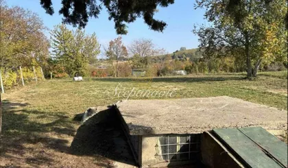 Alibegovac | 4zida.rs