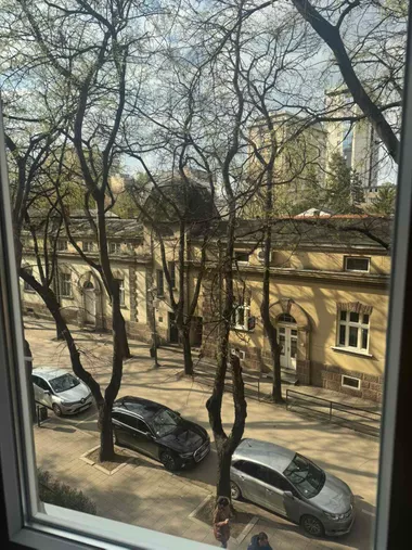 Svetozara Markovića