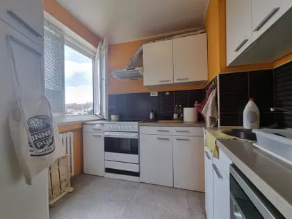 Braće Jerković | 4zida.rs