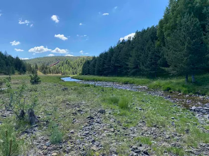 Kobilja Glava | 4zida.rs