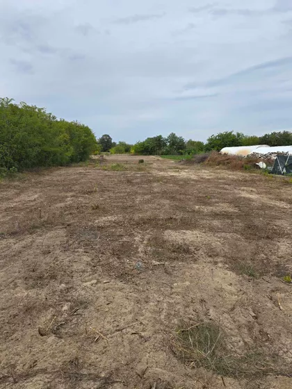 Pokret Nesvrstanih | 4zida.rs