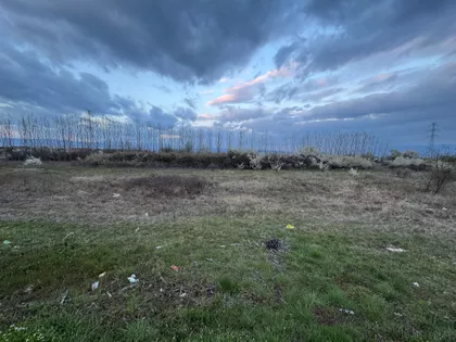 Dobri Španca | 4zida.rs