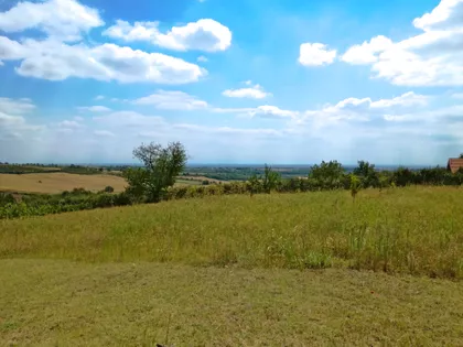 Novo Hopovo | 4zida.rs